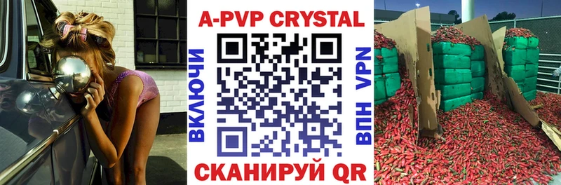Альфа ПВП СК  Закаменск 